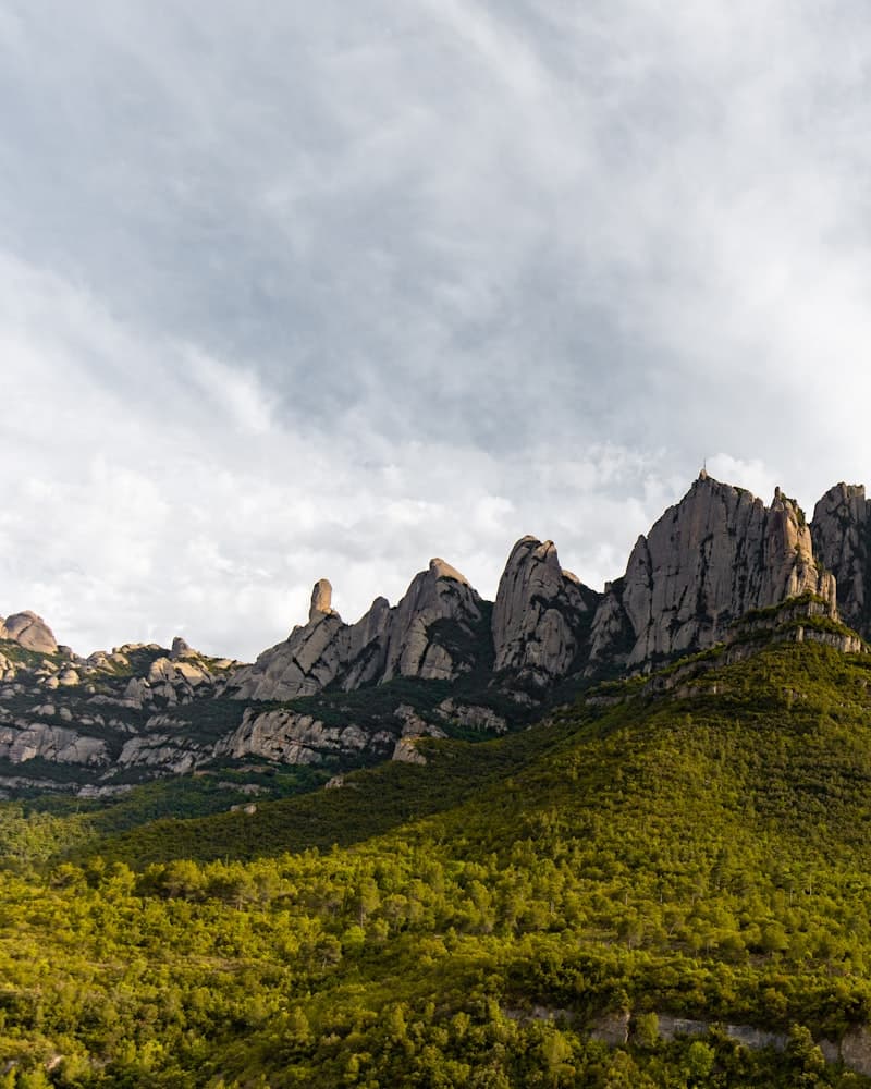 Paisatge rural de Catalunya